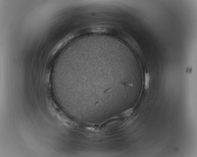 X0000111350723200907241157