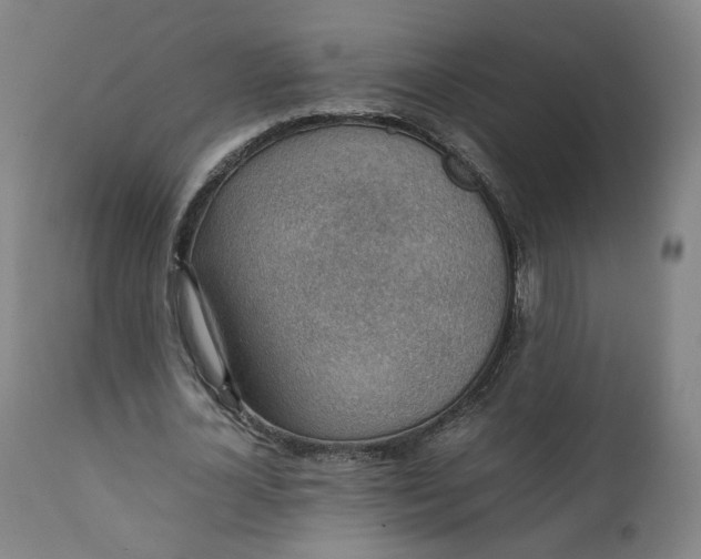 X0000111350724200907241157