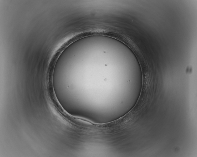 X0000111350726200907241157