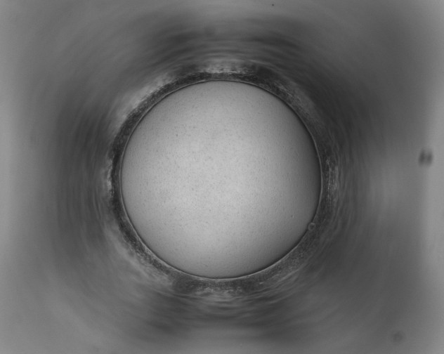 X0000111350727200907241158