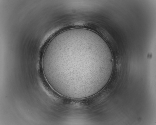 X0000111350728200907241158