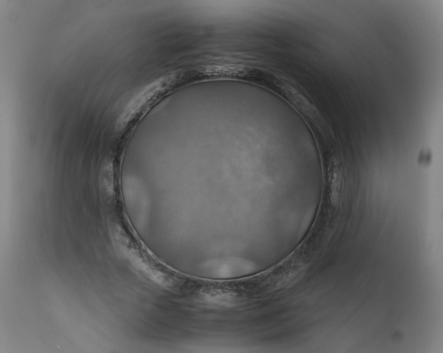 X0000111350729200907241158