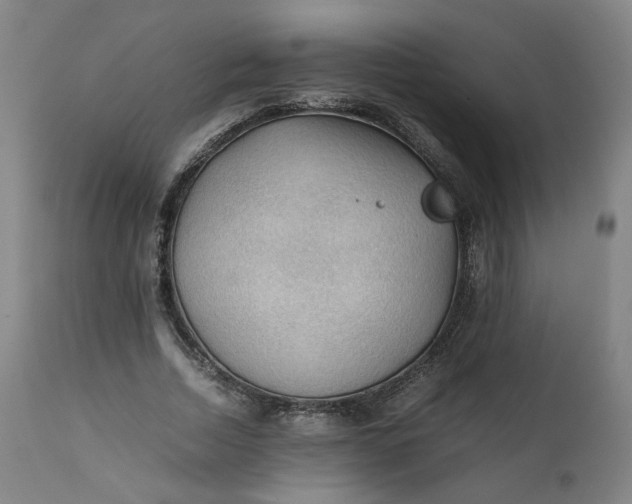 X0000111350730200907241158