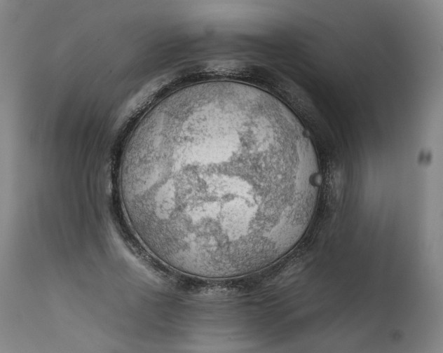 X0000111350734200907241158