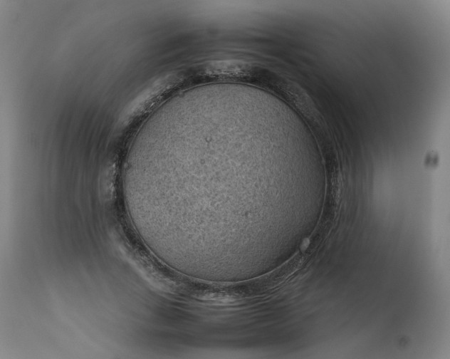 X0000111350735200907241158