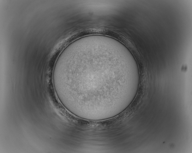 X0000111350736200907241158