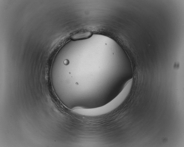 X0000111350740200907241158