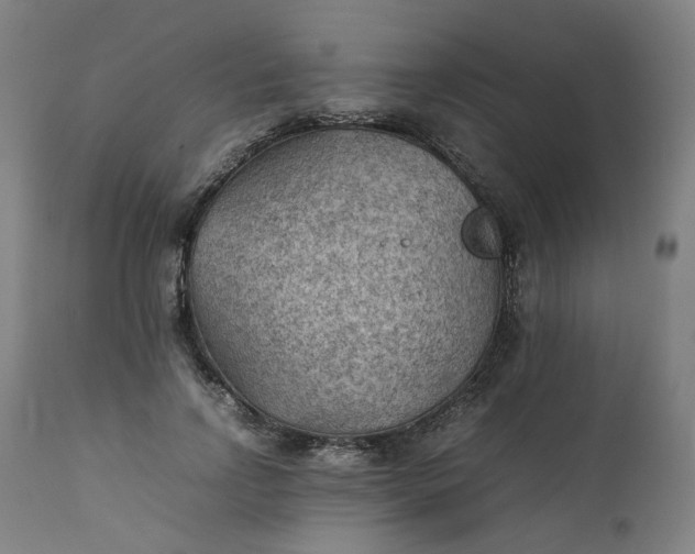 X0000111350742200907241158