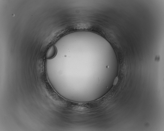 X0000111350743200907241158