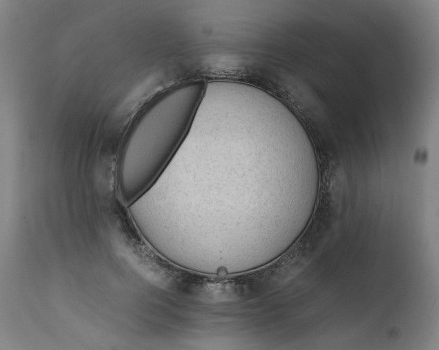 X0000111350744200907241158