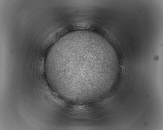 X0000111350745200907241158