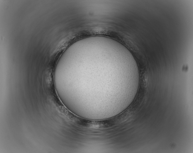 X0000111350746200907241158