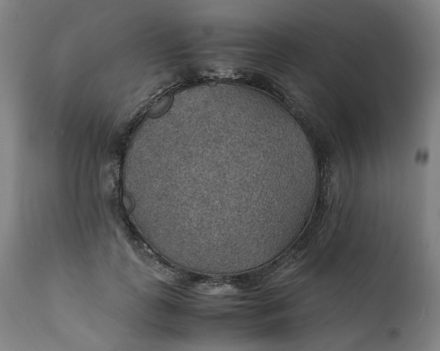 X0000111350747200907241158