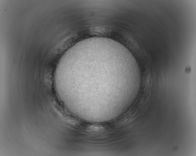 X0000111350749200907241158