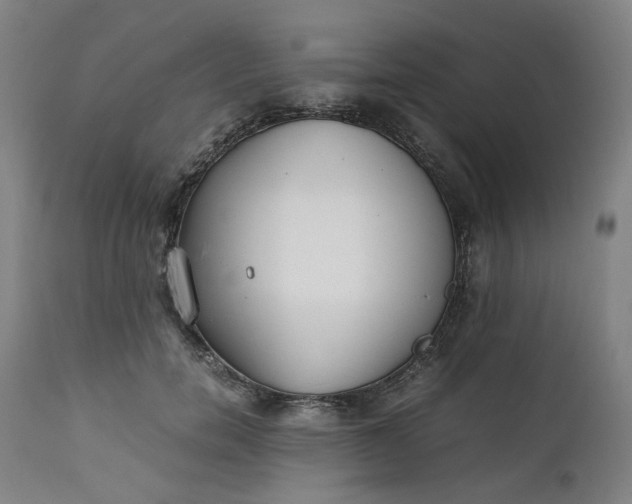 X0000111350750200907241158