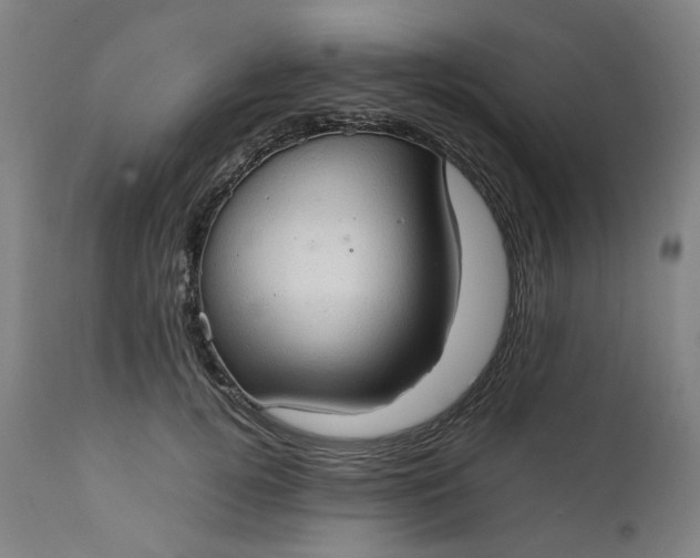 X0000111350752200907241158