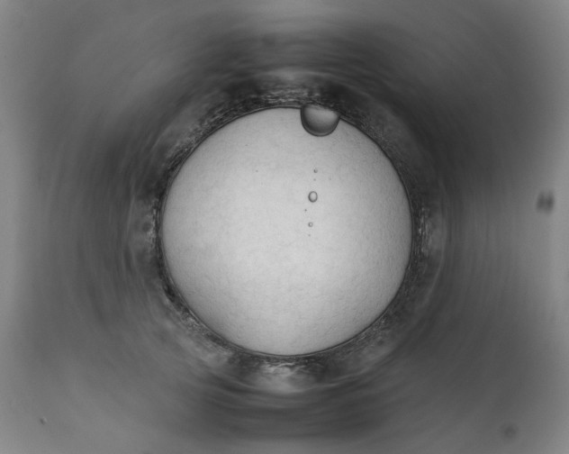 X0000111350753200907241158