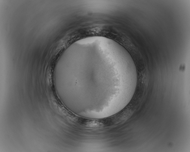 X0000111350754200907241158