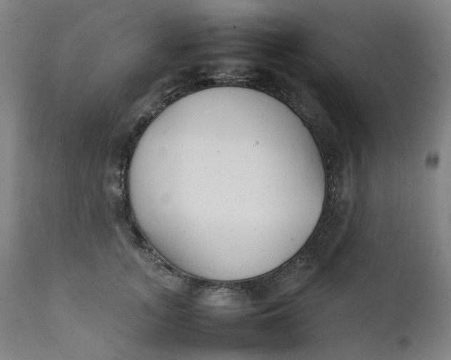 X0000111350755200907241158