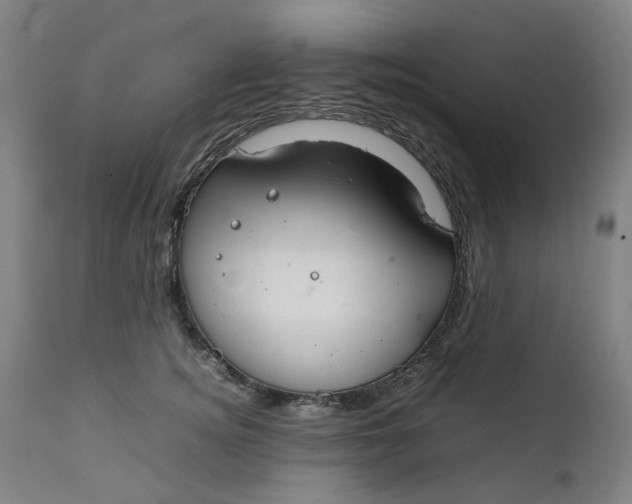 X0000111350756200907241158