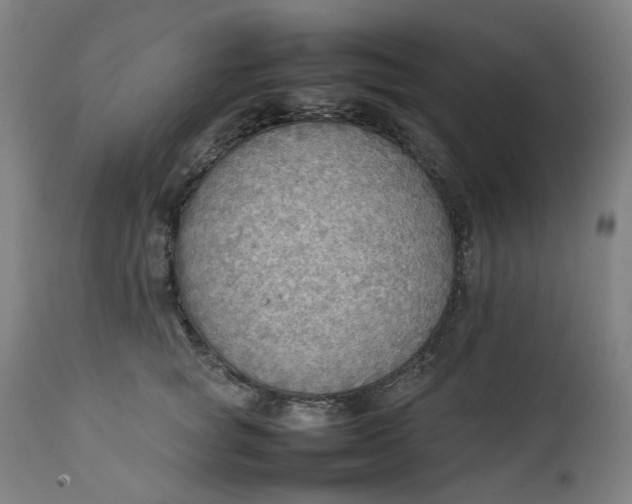 X0000111350757200907241158