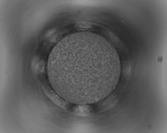 X0000111350758200907241158