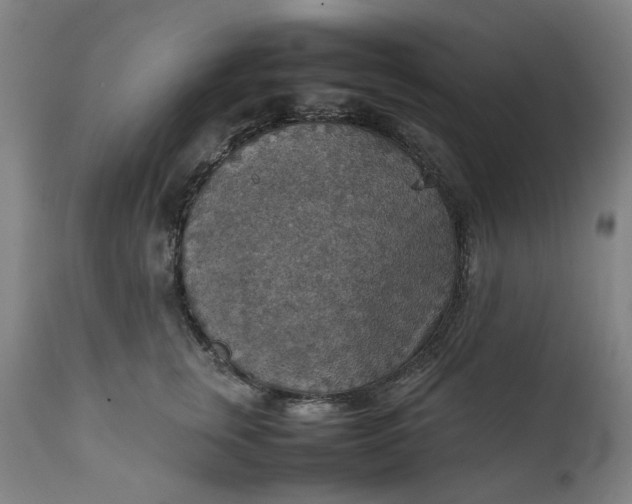 X0000111350759200907241158