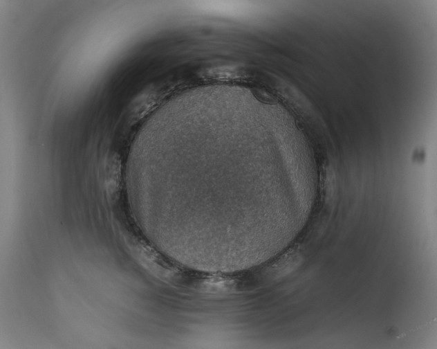 X0000111350760200907241158