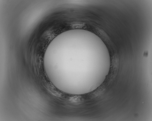 X0000111350761200907241158