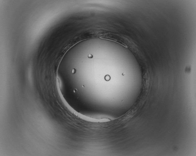 X0000111350762200907241158