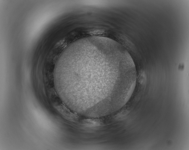 X0000111350763200907241158