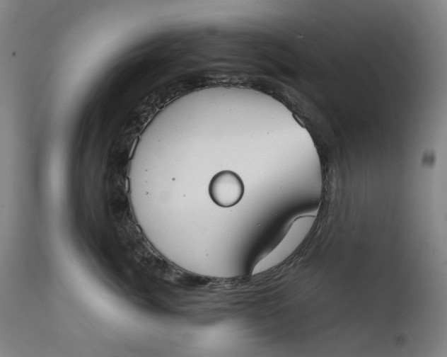 X0000111350764200907241158