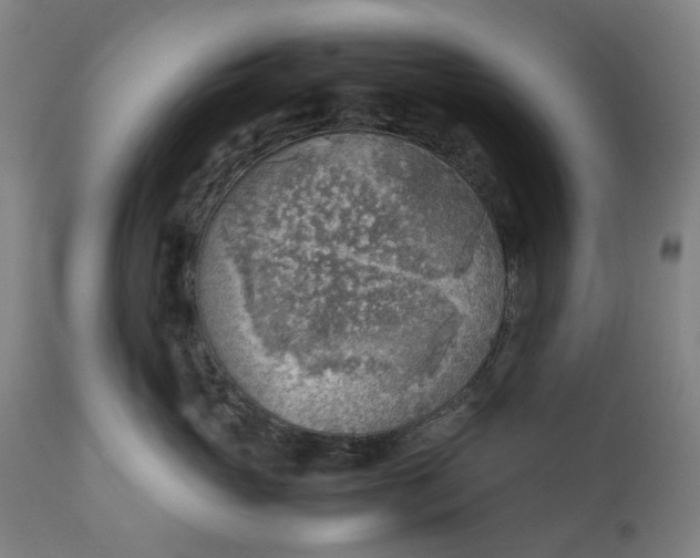 X0000111350765200907241158