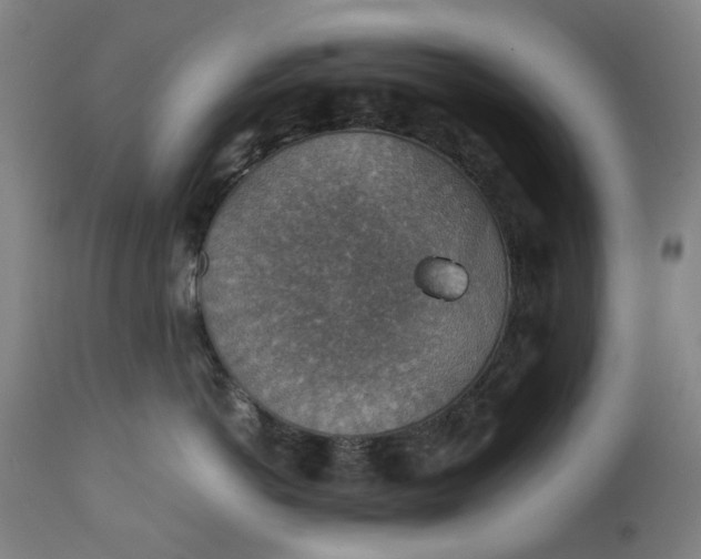 X0000111350766200907241158