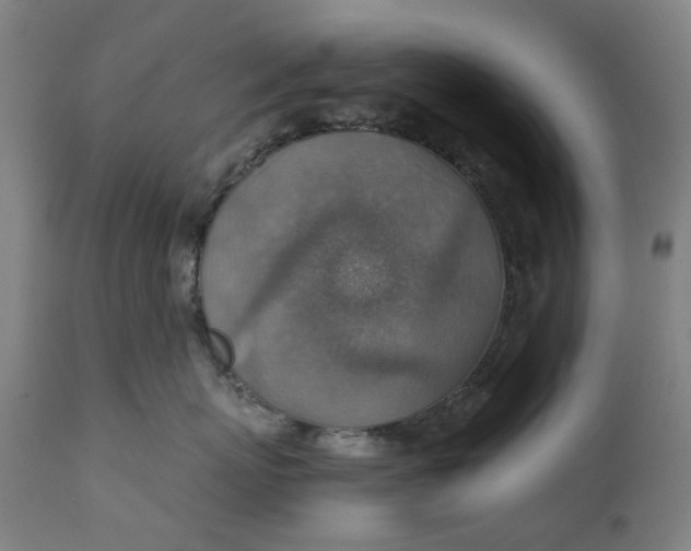 X0000111350767200907241158