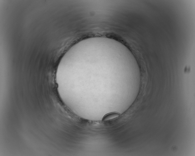 X0000111350768200907241158