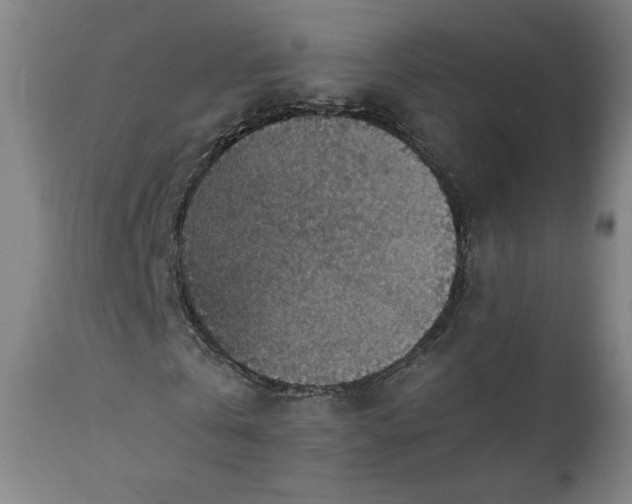 X0000111350769200907241157