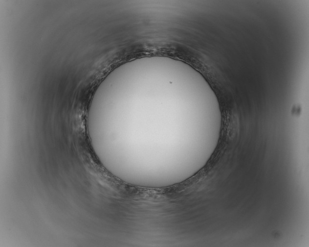 X0000111350770200907241157