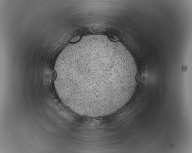 X0000111350772200907241157