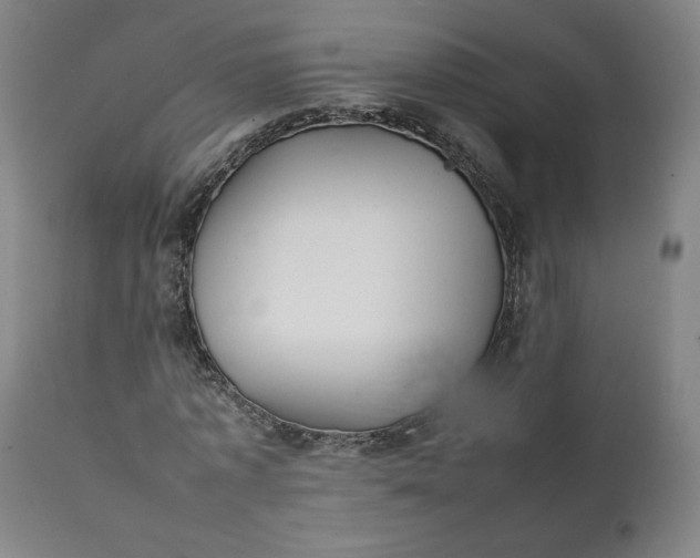 X0000111350773200907241157