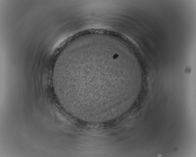 X0000111350775200907241157