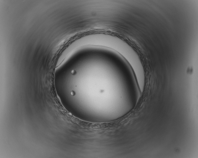 X0000111350776200907241157