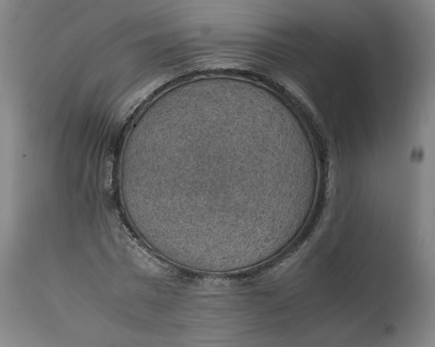 X0000111350777200907241157