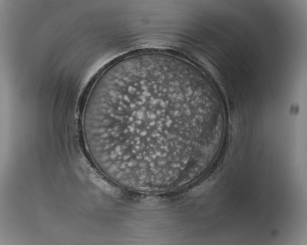 X0000111350779200907241157