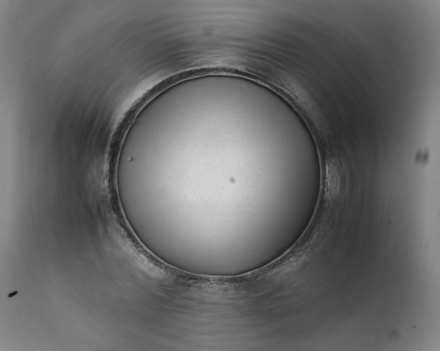 X0000111350780200907241157