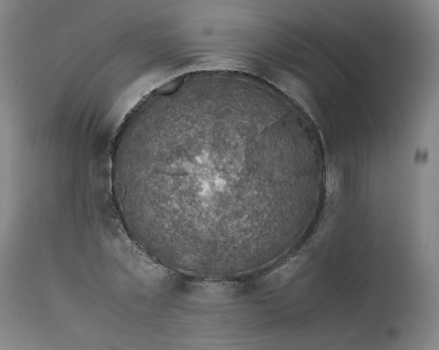 X0000111350781200907241157