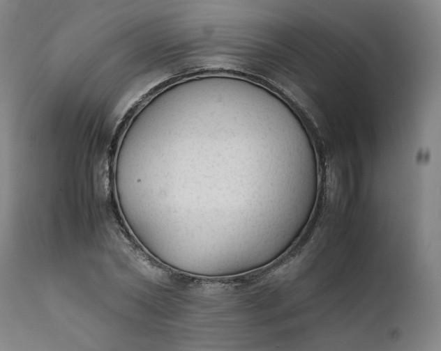 X0000111350782200907241157