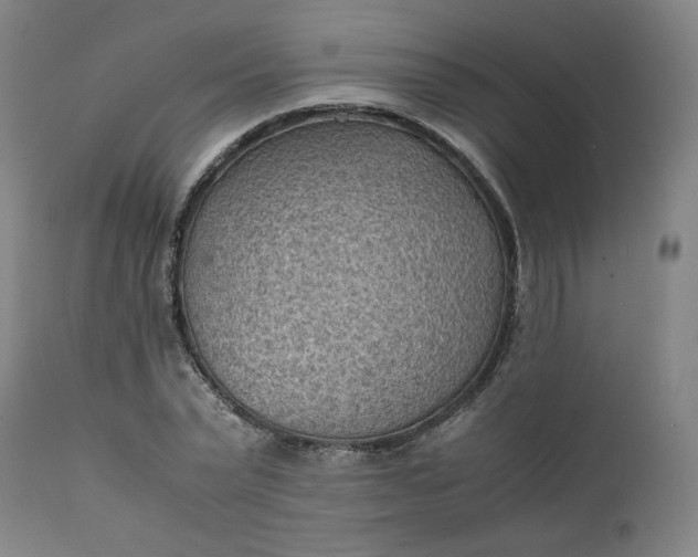 X0000111350783200907241157