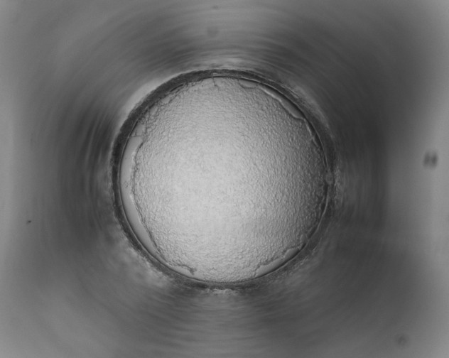 X0000111350784200907241157