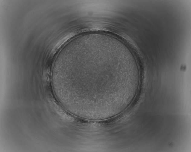 X0000111350785200907241157